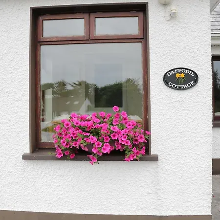 Daffodil Holiday home