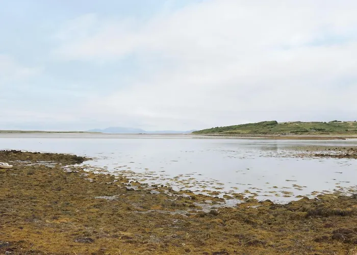 Nyaraló Daffodil Grange